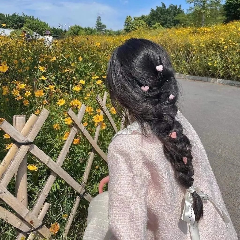 回到凤凰桥